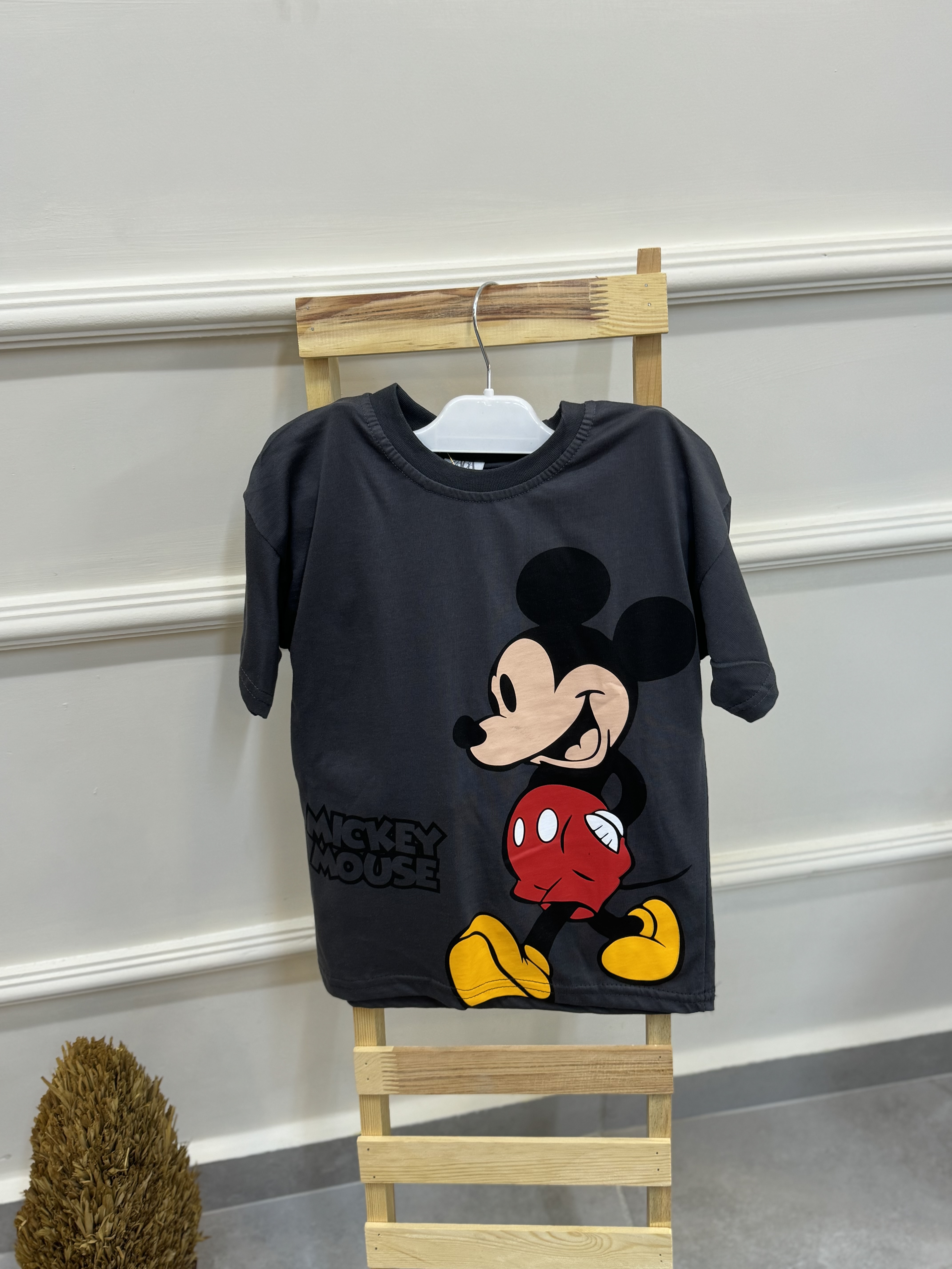 Antrasit Mickey Takım