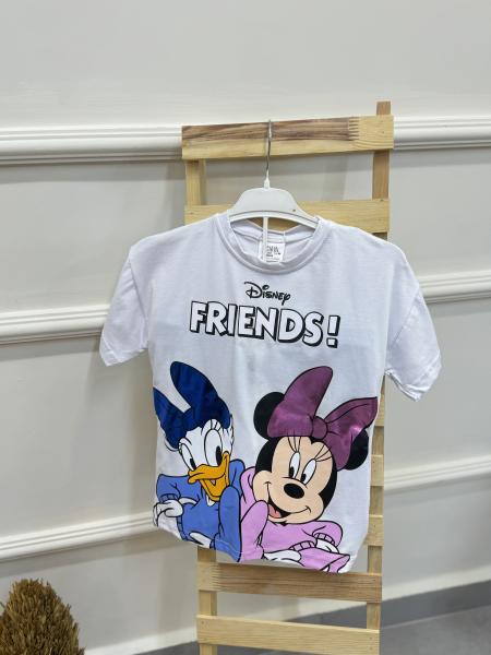 Disney Friends Takım