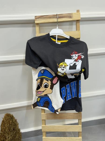 Paw Petrol Takım